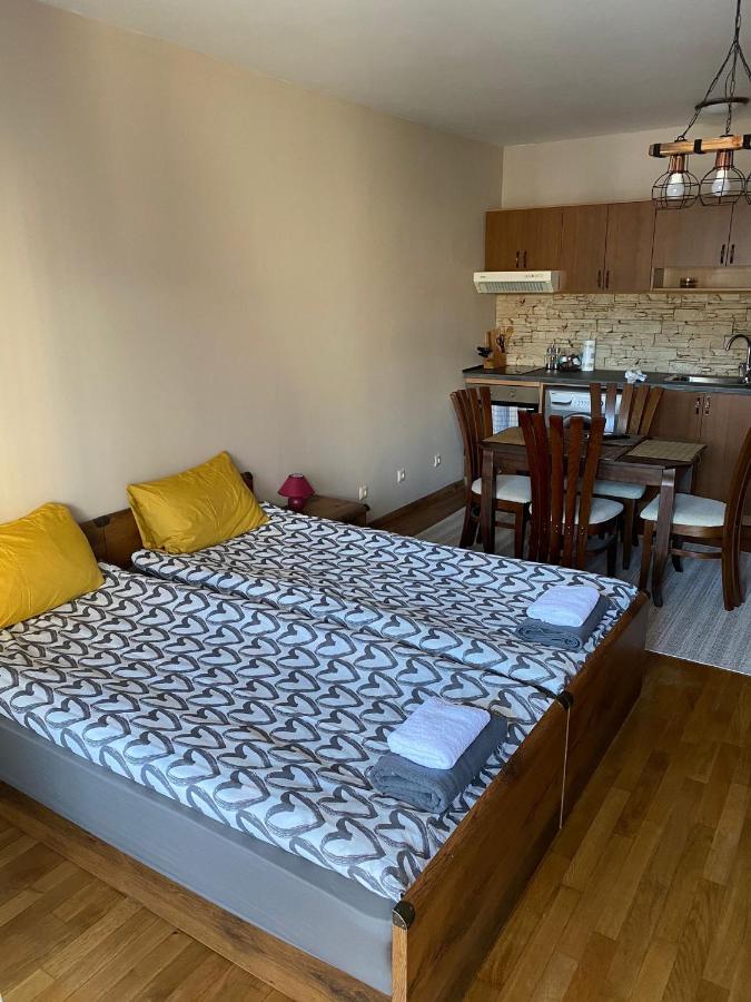 Bansko Spa Studio At Predela1 Εξωτερικό φωτογραφία